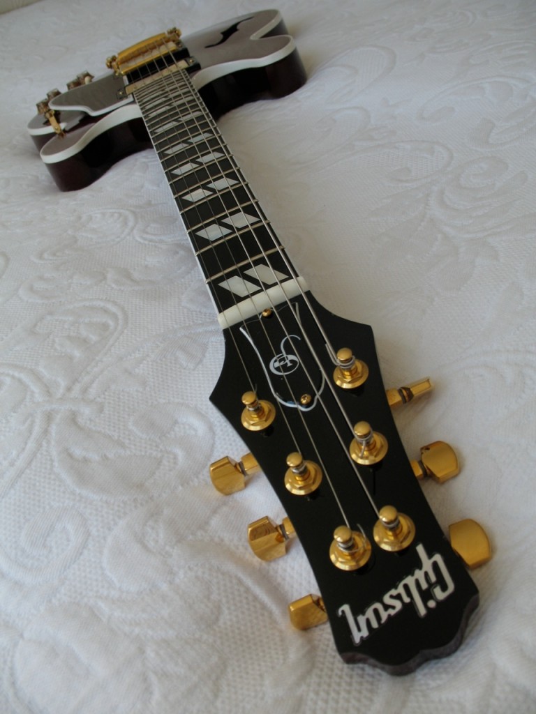 Gibson_ES346_snake